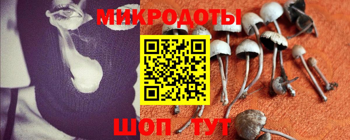 Зеленокумск  Галлюциногенные грибы прущие грибы  Вход с VPN 